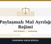 Paylaşmalı Mal Ayrılığı Rejimi